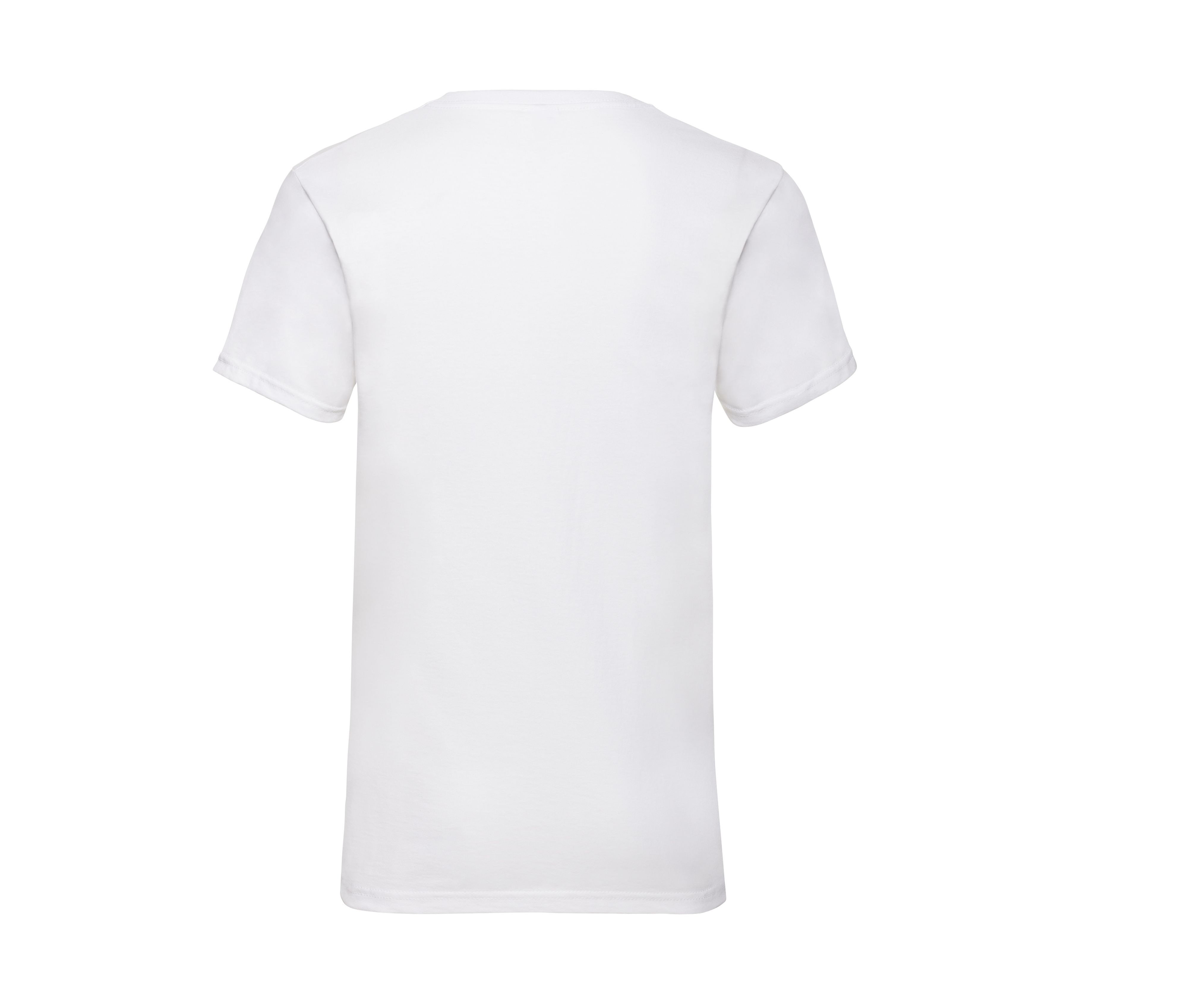 VALUEWEIGHT V-NECK T